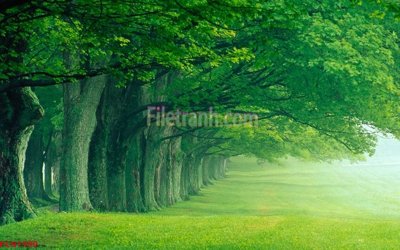 File tranh File tranh phong cảnh thiên nhiên PCN1999 (gốc) in vải canvas