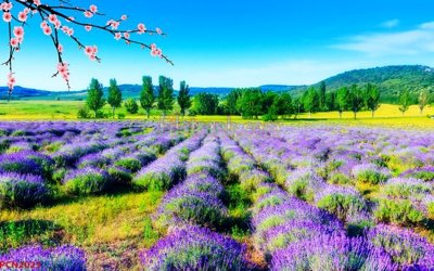 Tệp tin gốc File tranh phong cảnh thiên nhiên PCN2025 (dùng cho in ấn) chuyên nghiệp