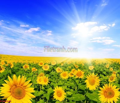 File gốc File tranh phong cảnh thiên nhiên PCN2043 (cho in ấn) từ kho Filetranh