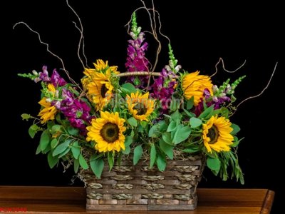 Tải về file gốc File tranh phong cảnh thiên nhiên PCN2048 (dùng cho in quảng cáo)