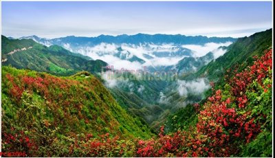 File gốc File tranh phong cảnh thiên nhiên PCN2096 (vector) cho in ấn