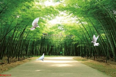 File in ấn cao cấp File tranh phong cảnh thiên nhiên PCN2111 (file gốc)