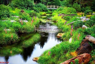 File gốc File tranh phong cảnh thiên nhiên PCN2147 (trang trí) phòng làm việc