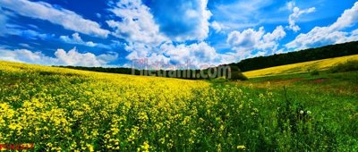 Tải file File tranh phong cảnh thiên nhiên PCN2217 (gốc) làm tranh treo tường