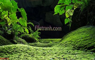 File in trần File tranh phong cảnh thiên nhiên PCN2272 (bản gốc) mây trời