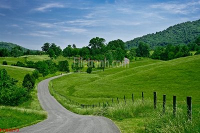 File gốc File tranh phong cảnh thiên nhiên PCN2273 (in lụa) hoa văn cổ điển