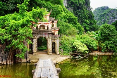 File gốc File tranh phong cảnh thiên nhiên PCN2351 (dành cho quảng cáo)