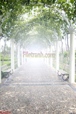 Download file gốc File tranh phong cảnh thiên nhiên PCN2374 (in mica) logo