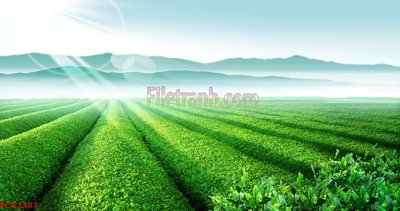 Ảnh gốc File tranh phong cảnh thiên nhiên PCN2383 (độ nét cao) in tráng gương