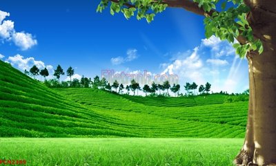 File ảnh File tranh phong cảnh thiên nhiên PCN2389 (gốc) trang trí khách sạn