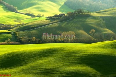 File tranh File tranh phong cảnh thiên nhiên PCN2424 (file gốc) chủ đề phong thủy