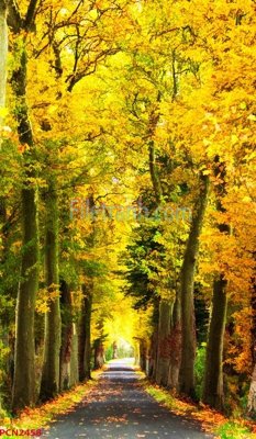 File gốc File tranh phong cảnh thiên nhiên PCN2458 cho in ấn và thiết kế