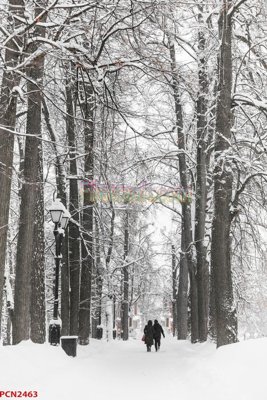 File in trần File tranh phong cảnh thiên nhiên PCN2463 (bản gốc) đại dương