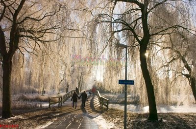 Tải file File tranh phong cảnh thiên nhiên PCN2467 (gốc) chủ đề hoa sen