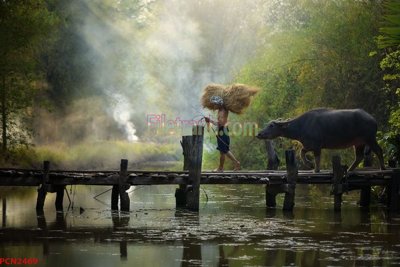 File gốc File tranh phong cảnh thiên nhiên PCN2469 (in ấn) màu sắc trung thực