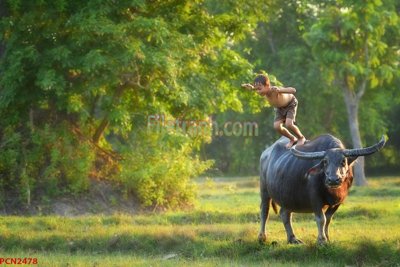 File gốc File tranh phong cảnh thiên nhiên PCN2478 (trang trí) phòng ngủ