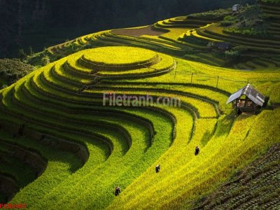 Tải file gốc File tranh phong cảnh thiên nhiên PCN2487 (in tráng gương) cao cấpFile gốc File tranh phong cảnh thiên nhiên PCN2487 (in ấn) phiên bản độc quyền