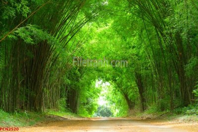 File gốc File tranh phong cảnh thiên nhiên PCN2520 (in tráng gương) sang trọng