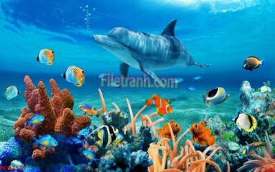 Download file File tranh phong cảnh thiên nhiên PCN2539 (chất lượng in ấn)