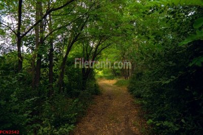 File tranh File tranh phong cảnh thiên nhiên PCN2542 (gốc) chủ đề tĩnh vật