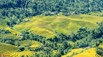 Ảnh mô tả file gốc in mica File tranh phong cảnh thiên nhiên PCN2554