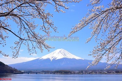 File gốc File tranh phong cảnh thiên nhiên PCN2556 (in tráng gương) hiện đại