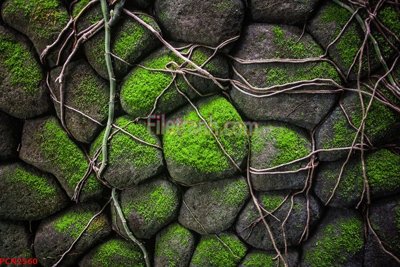 File in trần File tranh phong cảnh thiên nhiên PCN2560 (bản gốc) 5D