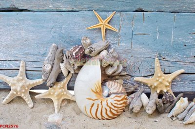 File tranh File tranh phong cảnh thiên nhiên PCN2576 (ảnh gốc) in trần 3D