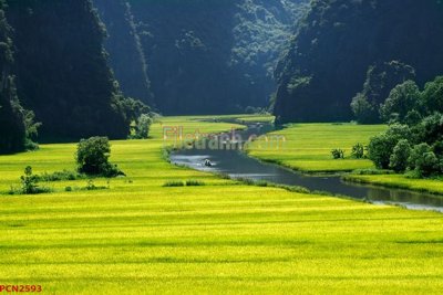 Tải file gốc File tranh phong cảnh thiên nhiên PCN2593 (bản PSD) chỉnh sửa được