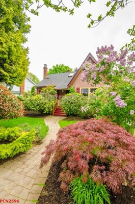 Hình ảnh file gốc File tranh phong cảnh thiên nhiên PCN2596 (chất lượng cao)