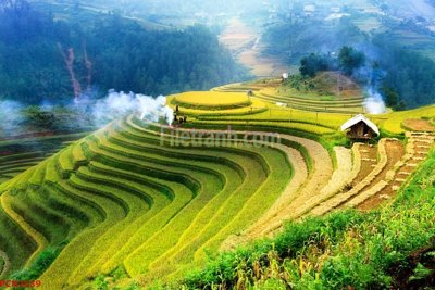 File tranh gốc File tranh phong cảnh thiên nhiên PCN2639 chủ đề hiện đại