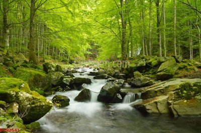 File gốc File tranh phong cảnh thiên nhiên PCN2641 (cho in ấn) từ Filetranh.com