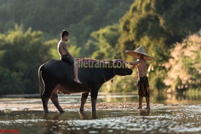 File tranh File tranh phong cảnh thiên nhiên PCN2684 (ảnh gốc) sắc nét hoàn hảo