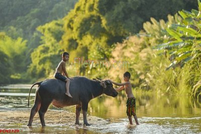 File gốc File tranh phong cảnh thiên nhiên PCN2729 (trang trí) phòng làm việc
