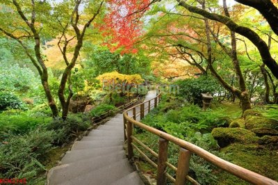 Tải file PSD File tranh phong cảnh thiên nhiên PCN2745 (nguyên layer) để in