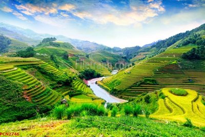 Hình ảnh file gốc in lụa File tranh phong cảnh thiên nhiên PCN2746