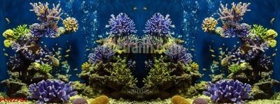 Ảnh gốc File tranh phong cảnh thiên nhiên PCN2781 (độ nét cao) in tráng gương