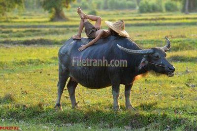 File ảnh File tranh phong cảnh thiên nhiên PCN2783 (gốc) in biển hiệu