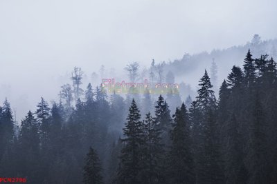 File gốc File tranh phong cảnh thiên nhiên PCN2796 (PNG) nền trong suốt