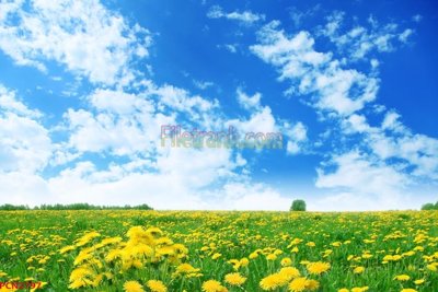 File gốc File tranh phong cảnh thiên nhiên PCN2797 (chủ đề hiện đại) trang trí