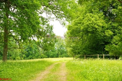 File ảnh File tranh phong cảnh thiên nhiên PCN2815 (gốc) trang trí khách sạn