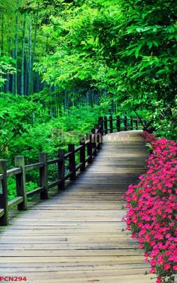 File in mica File tranh phong cảnh thiên nhiên PCN294 (bản gốc) làm vách ngăn