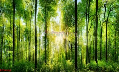 Download file gốc File tranh phong cảnh thiên nhiên PCN362 (in mica) logo