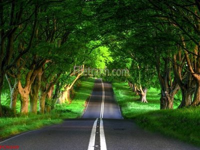 File PSD File tranh phong cảnh thiên nhiên PCN369 (gốc) nhiều lớp (multi-layer)