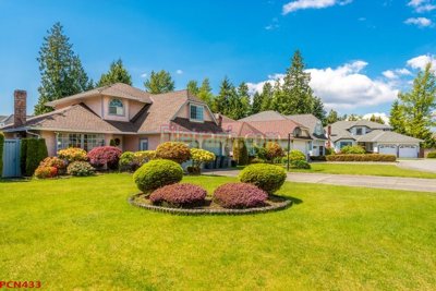 File tranh File tranh phong cảnh thiên nhiên PCN433 (gốc) chủ đề động vật