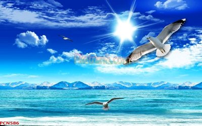 Tải về file gốc File tranh phong cảnh thiên nhiên PCN586 (dùng cho in quảng cáo)