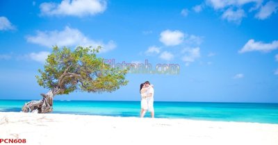 File gốc File tranh phong cảnh thiên nhiên PCN608 (phong cách) cổ điển