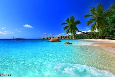 Download file tranh File tranh phong cảnh thiên nhiên PCN615 (file gốc PSD)