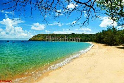 File gốc File tranh phong cảnh thiên nhiên PCN665 (phong cách) cổ điển