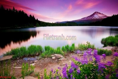 File gốc File tranh phong cảnh thiên nhiên PCN718 (in tráng gương) sang trọng